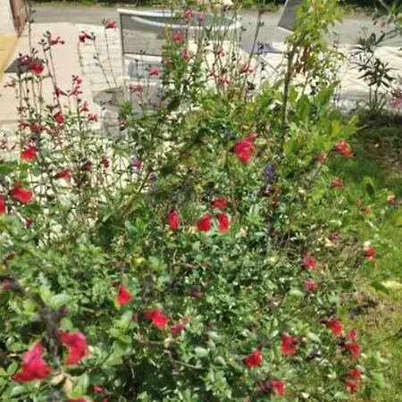 Semesterbostad Maison De Seyresse