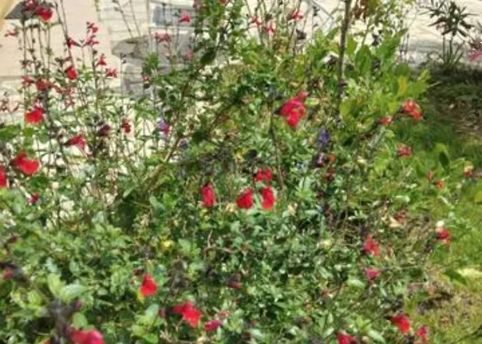 Holiday home Maison De Seyresse